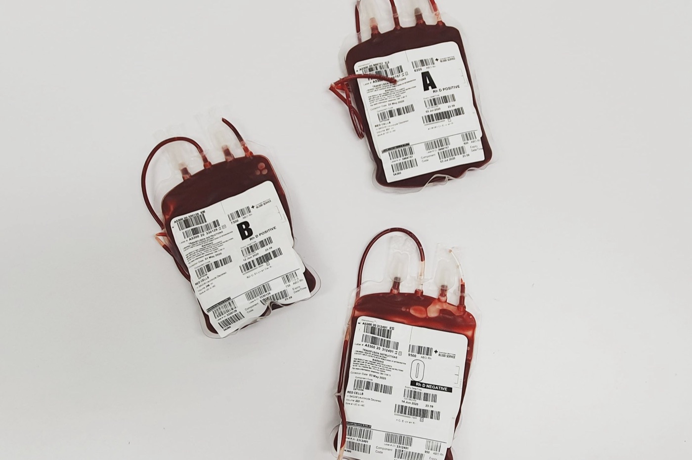 The Blood Bank Is a Licensed Establishment, Not a Module — Operations | Kōami
