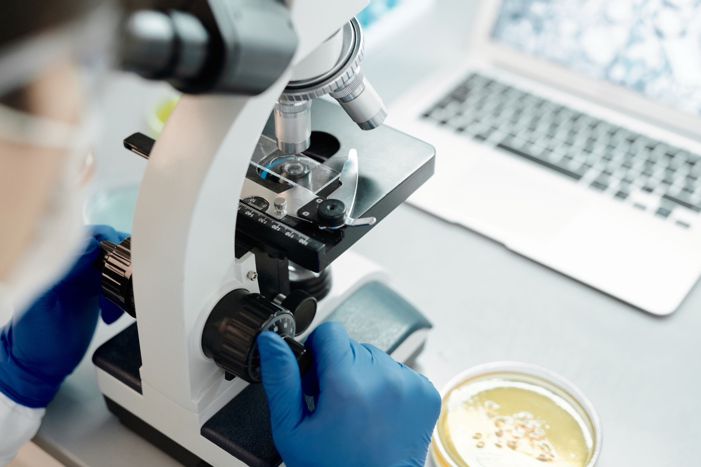 Witnessing in the Embryology Lab: From a Name to an Event — Fertility & IVF | Kōami