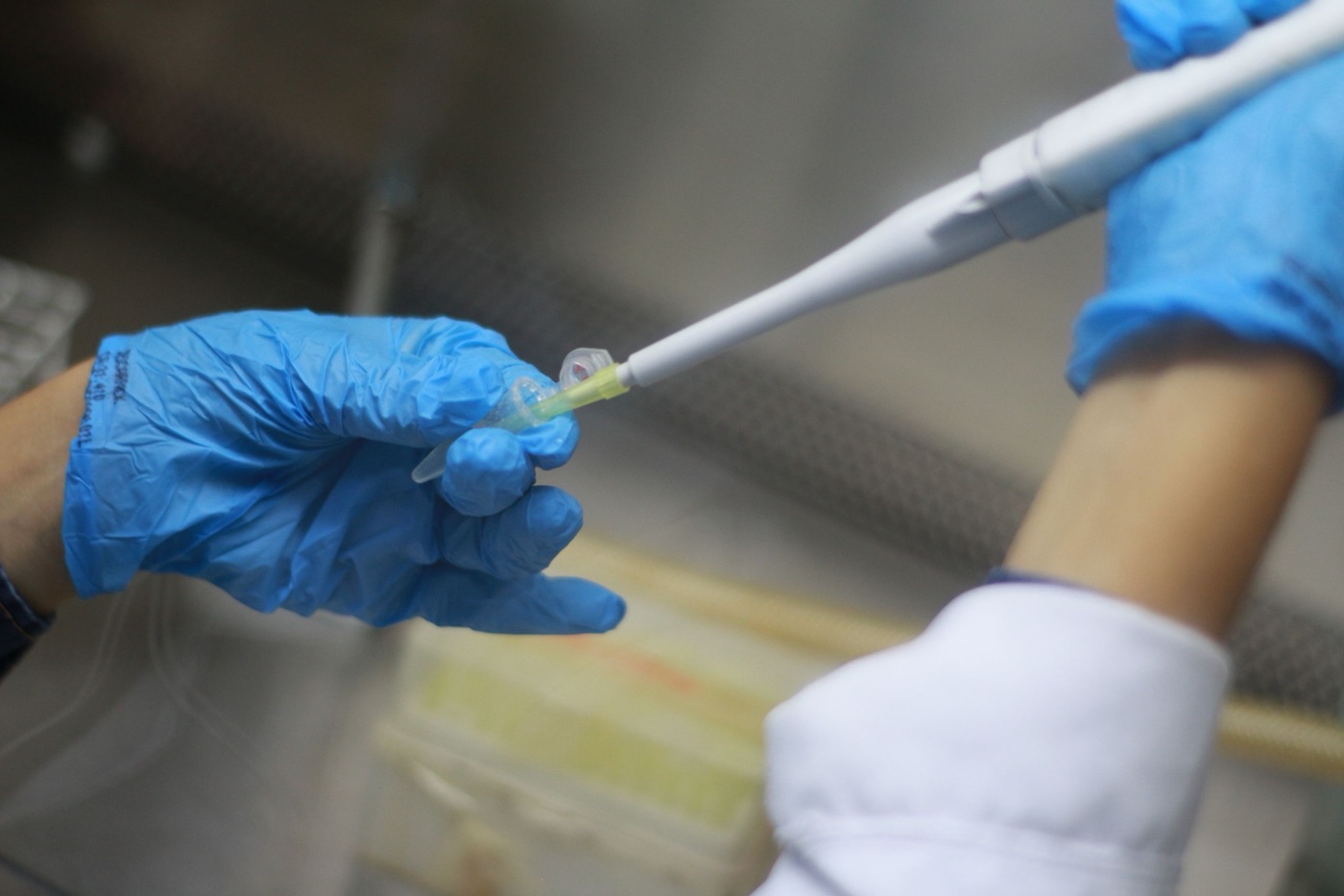 What an IVF Clinic Actually Needs From Its Software — Fertility & IVF | Kōami